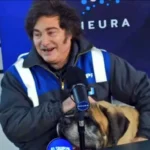 Javier Milei, desatado: llamó «imbécil y «primate» a Romina Manguel y celebró el ataque a Julia Mengolini