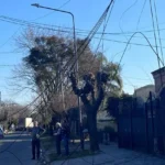 VIDEO: Un camión de grandes dimensiones arrancó cables de luz en el centro de Pilar