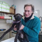 “El Silencio de los Animales, la Voz de los Veterinarios”