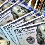«Del flan al default: el modelo Milei cruje entre intervenciones y fantasías» ¿Y el dolar? El dólar no flota