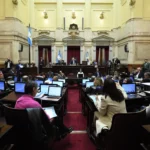 El Senado rechazó el veto a la emergencia en Discapacidad